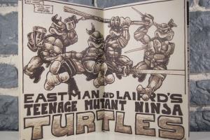 Teenage Mutant Ninja Turtles- The Ultimate Visual History (16)